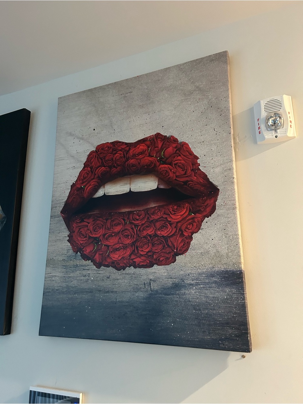 Decor Canvas - Ikonick - Seduction Bundle - Picture 2 of 7